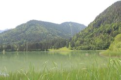 IMG_2875