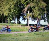 RO_NCB_2019 (496)