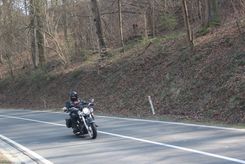 IMG_4509