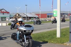 IMG_4568