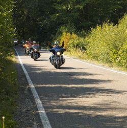 IMG_2558