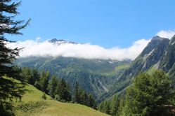 IMG_3004